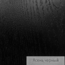 Входная дверь Йошкар-Ола 103610 Ясень черный/Венге